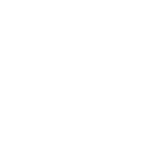 sport_logo_Enfusion
