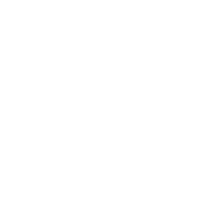 sport_logo_F2